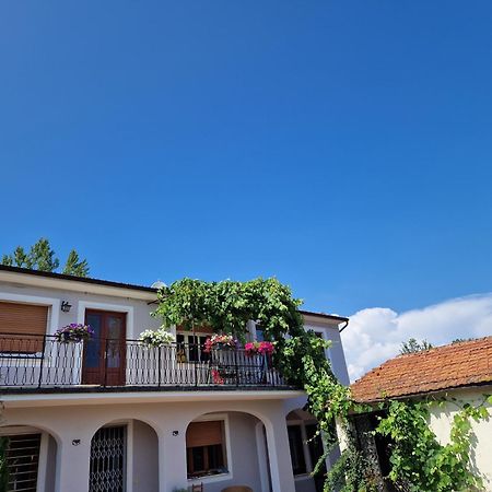 Apartamento La Casa Nella Vigna Colline Del Vino Capannori Exterior foto