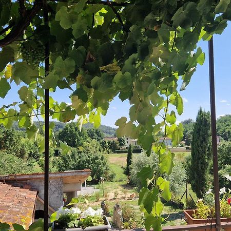 Apartamento La Casa Nella Vigna Colline Del Vino Capannori Exterior foto