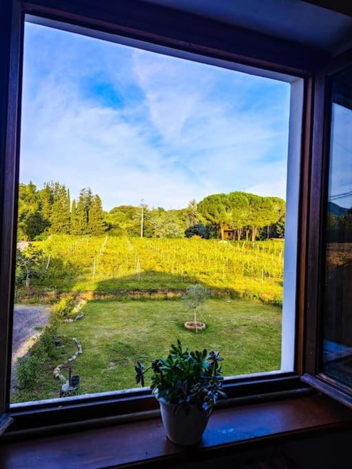 Apartamento La Casa Nella Vigna Colline Del Vino Capannori Exterior foto