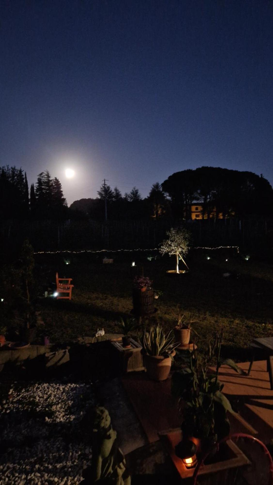 Apartamento La Casa Nella Vigna Colline Del Vino Capannori Exterior foto