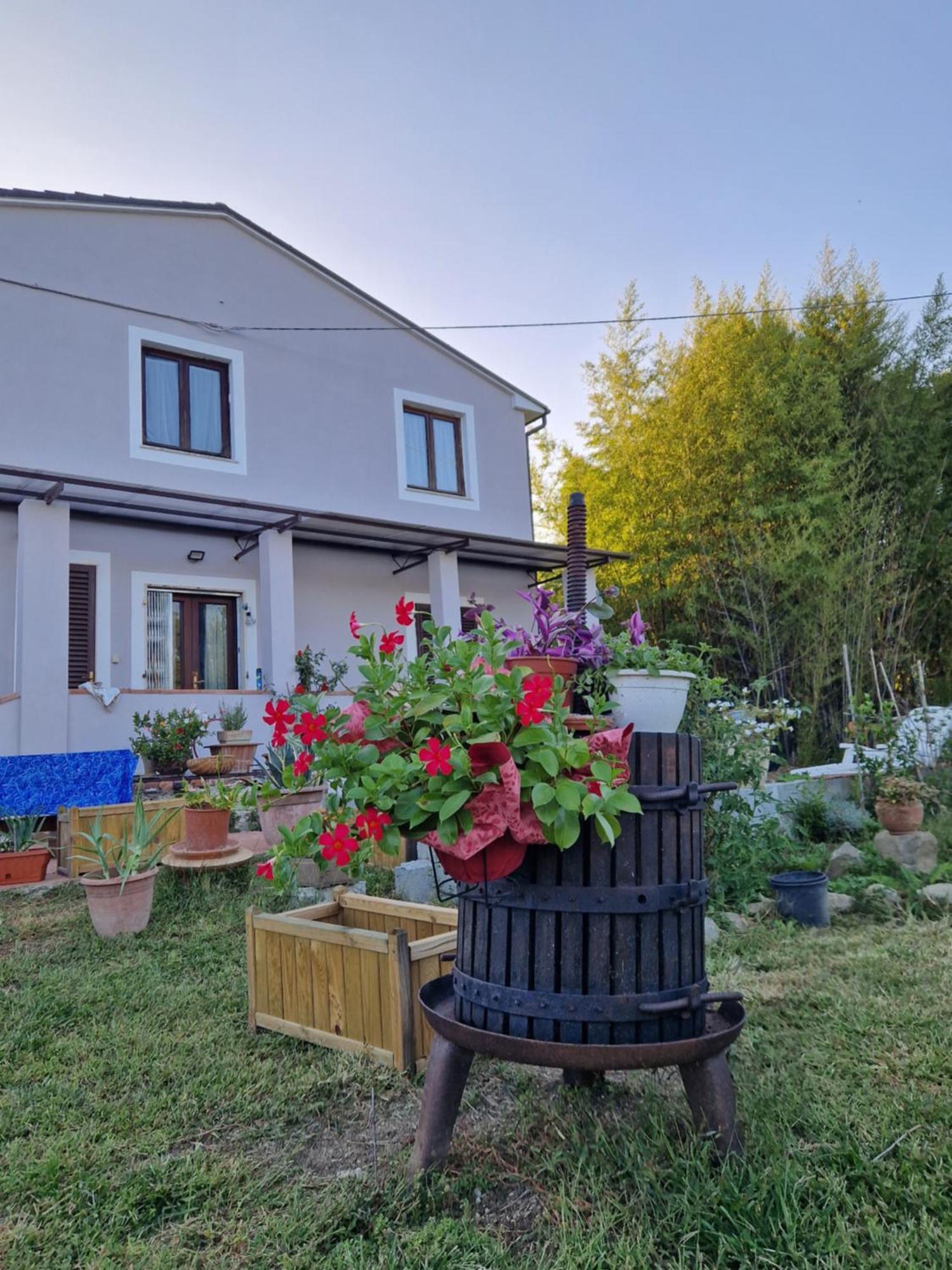 Apartamento La Casa Nella Vigna Colline Del Vino Capannori Exterior foto