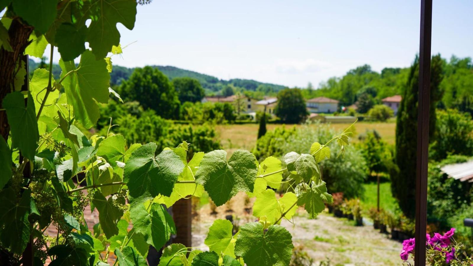 Apartamento La Casa Nella Vigna Colline Del Vino Capannori Exterior foto